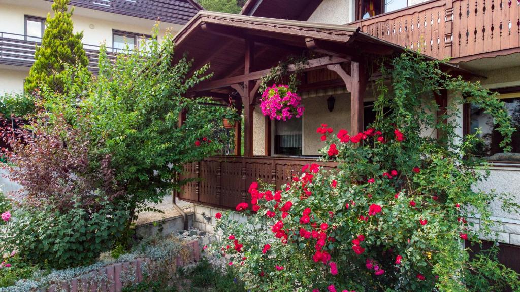 Zahrada ubytování Alp House