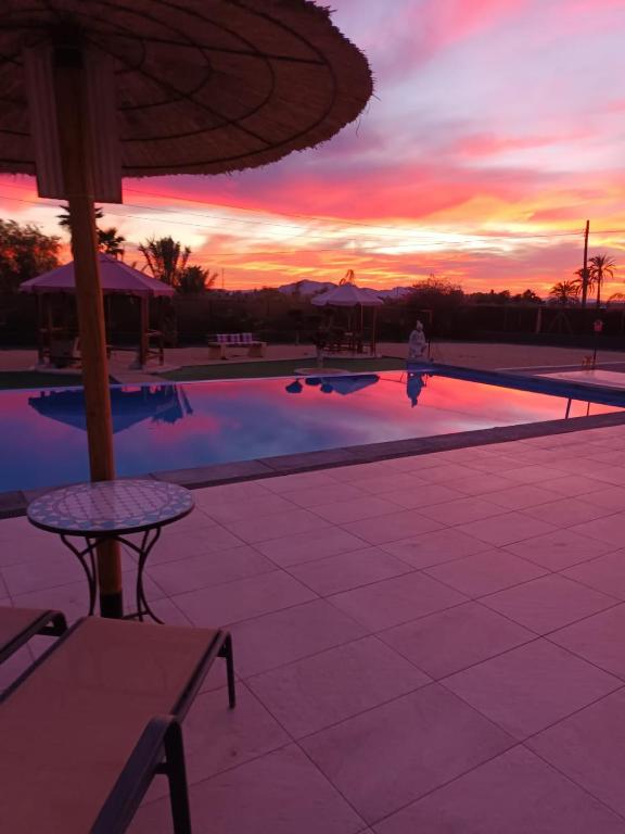 casadelfenix, Alicante – Updated 2023 Prices