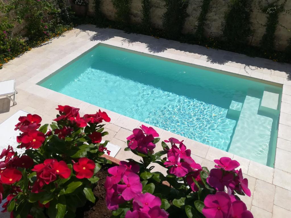 a swimming pool with red flowers in a garden at Dimora Maltese in Morciano di Leuca