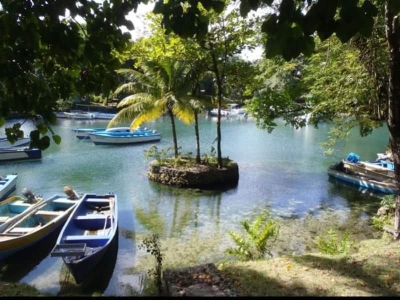 Fotografie z fotogalerie ubytování Villa Colonial suite n2 presidencial v destinaci Río San Juan