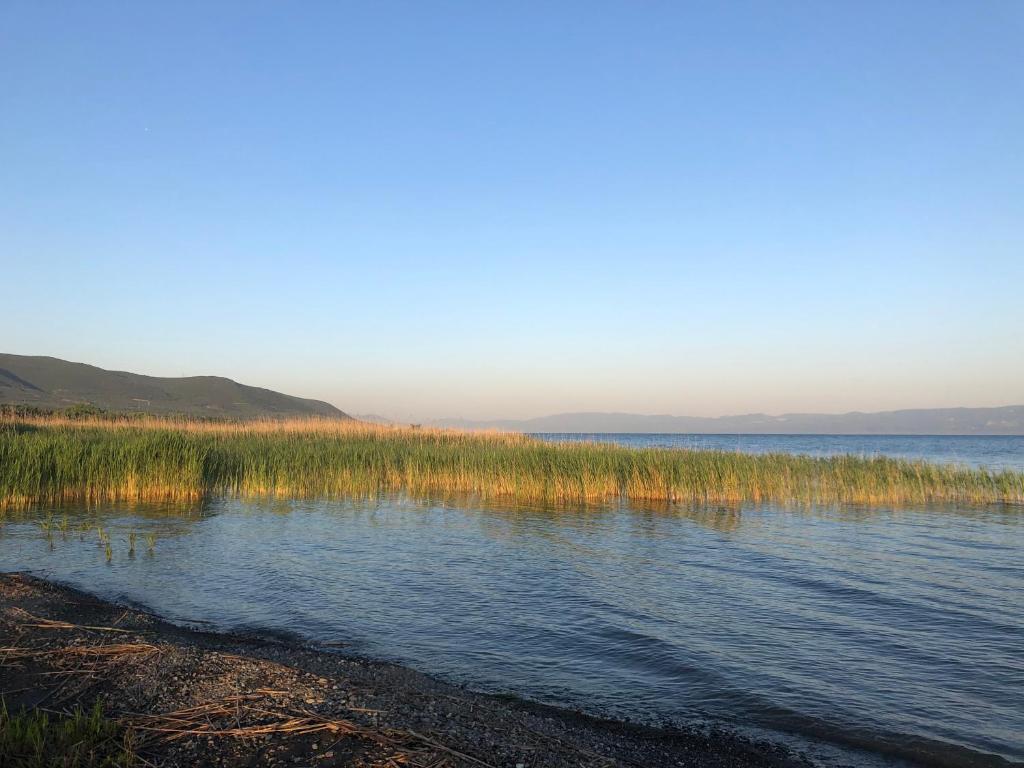 a view of a body of water with grass at Home on Iznik Lake with its own Private Beach in Bursa