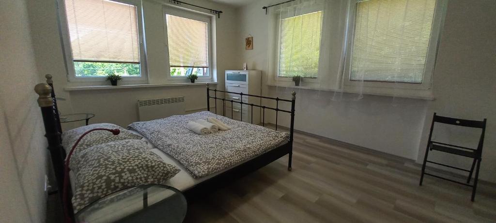 Fotografie z fotogalerie ubytování Hotel Pod Šaumburkem v Rajnochovicích