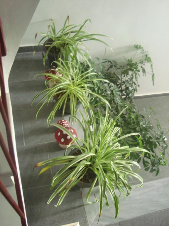 Dream House Ioannina - 16