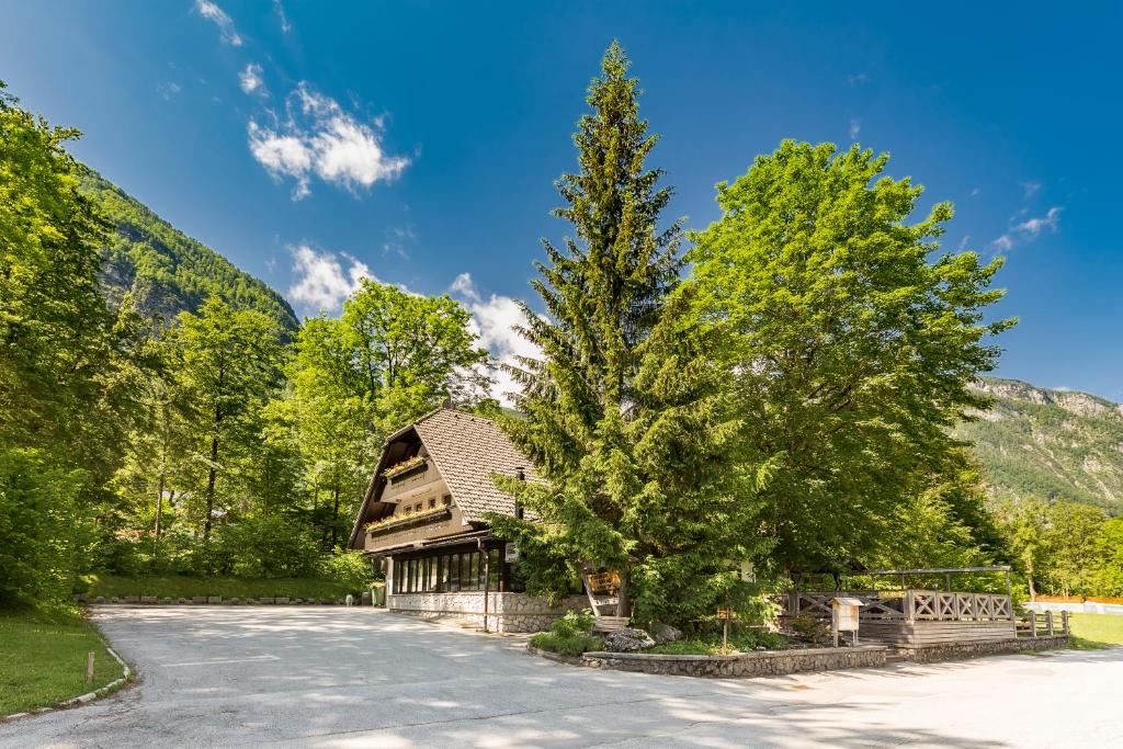 a house with a tree in front of a road at Apartments Ukanc in Bohinj