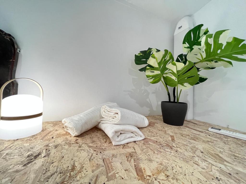 un par de toallas blancas sentadas en una mesa junto a una planta en ILE AINA MALASAÑA en Madrid