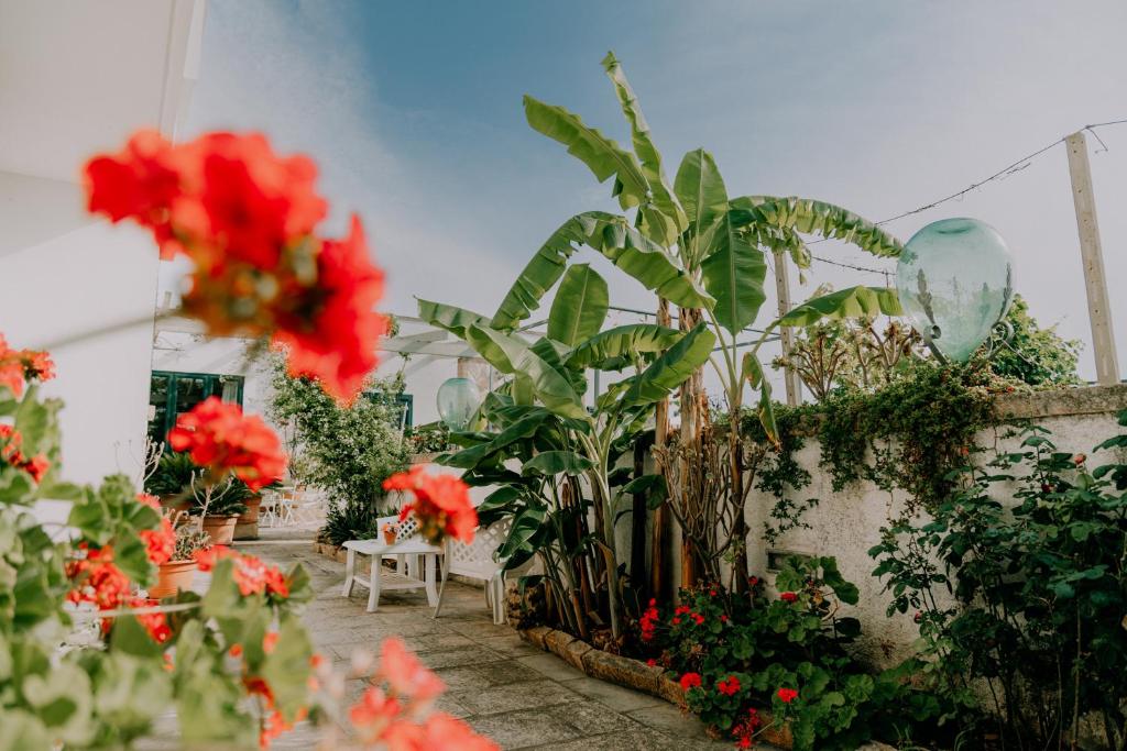 einen Garten mit roten Blumen und Pflanzen in der Unterkunft Agriturismo Il Sorriso Degli Ulivi - Dimora di Charme in Gallipoli