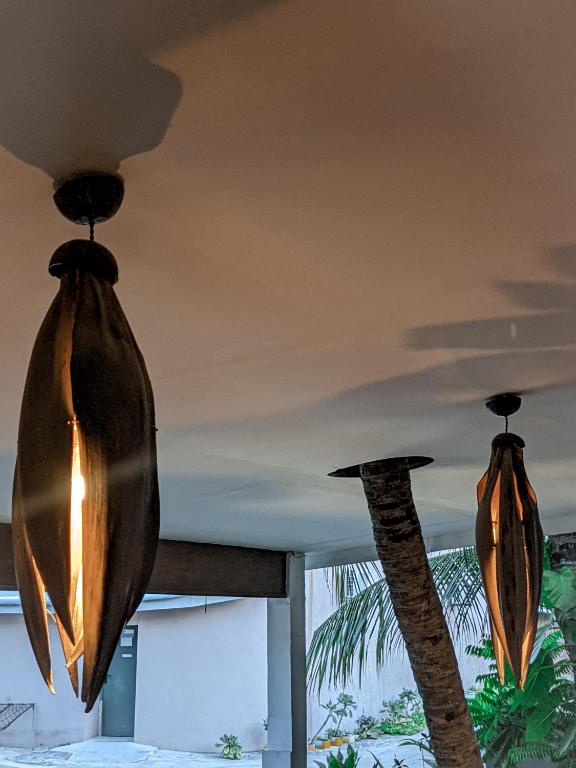 Fotografie z fotogalerie ubytování Dhoadhi Retreat v destinaci Thulusdhoo