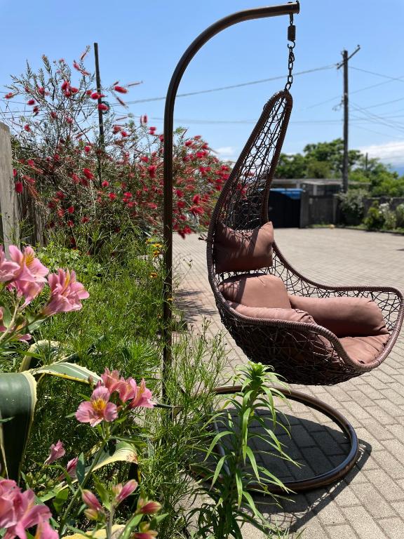 Zahrada ubytování Guest House Kobuleti