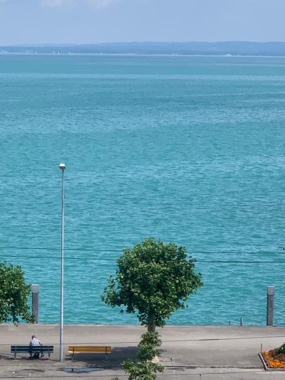 Helvetic Visions Lake View Bodensee