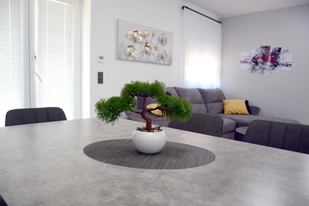 Apartmani Magić - 5