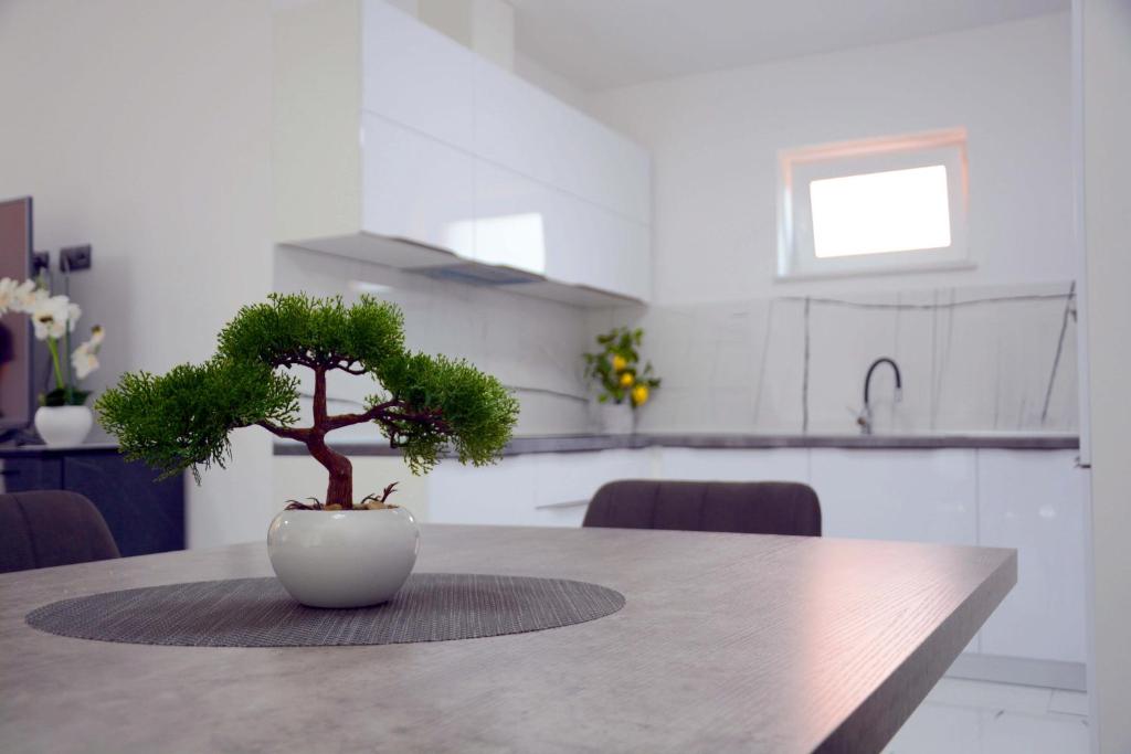 Apartmani Magić - 18