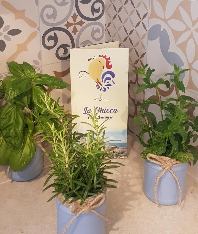 Zdjęcie z galerii obiektu La Chicca w mieście Ostuni