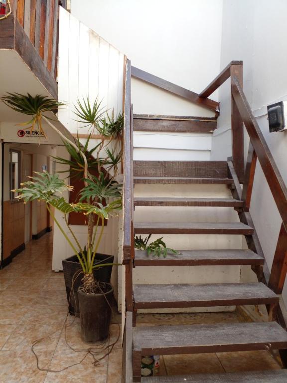 a staircase in a building with potted plants at HOSTAL SOL ATACAMA -CALDERA in Caldera