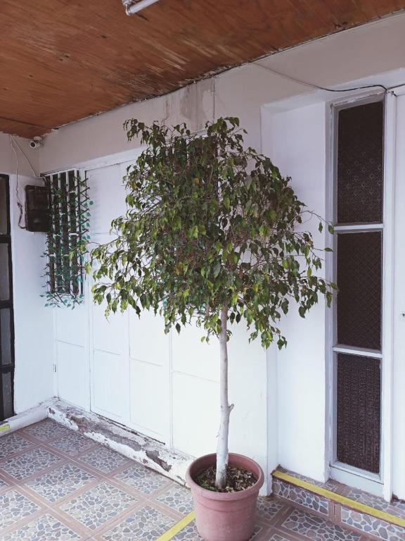 Fotografie z fotogalerie ubytování HOSTAL SOL ATACAMA -CALDERA v destinaci Caldera