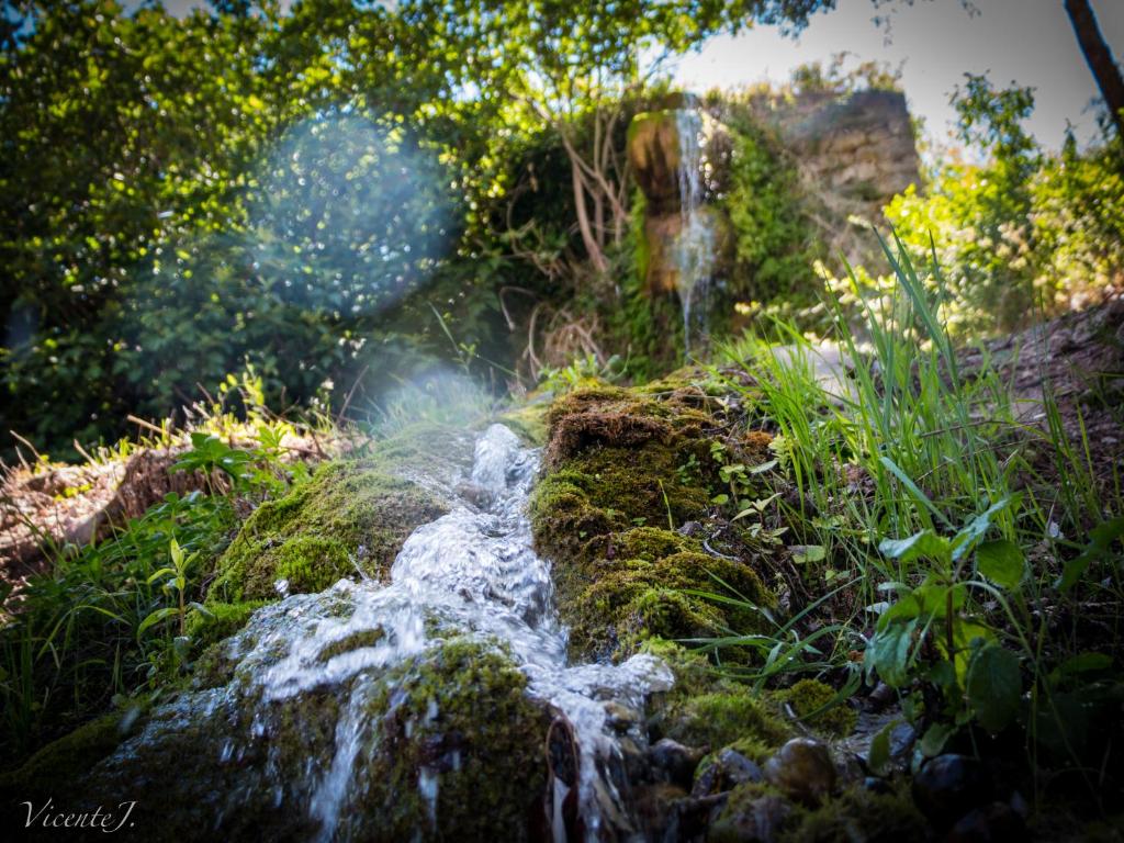 Derechos de imagen reservados por Booking.com