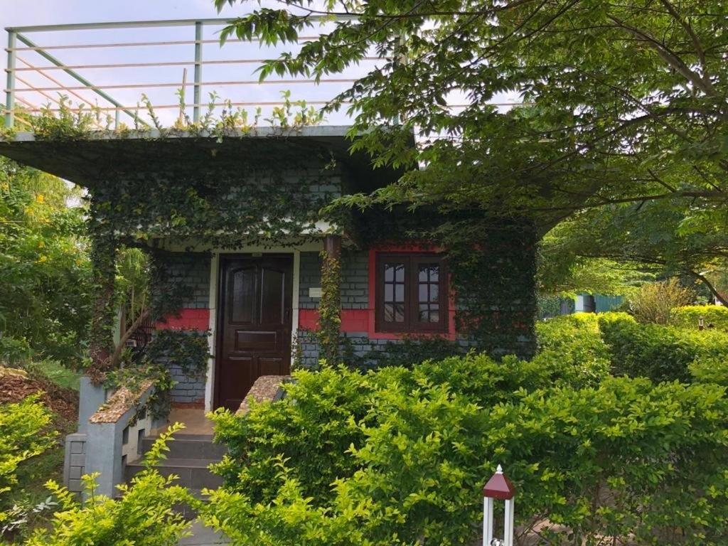 Zahrada ubytování Chalets Resort Masinagudi