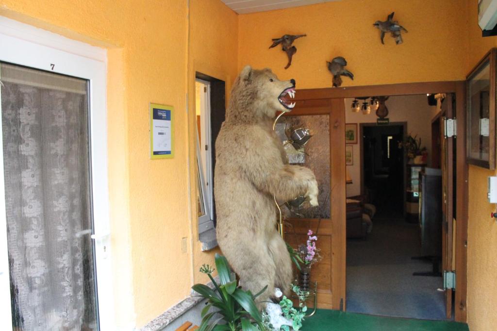 Zvířata v hotelu nebo okolí