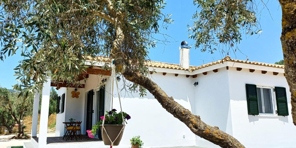 Fotografie z fotogalerie ubytování Lily Home_Lefkada ~ Private Country house v destinaci Kondáraina