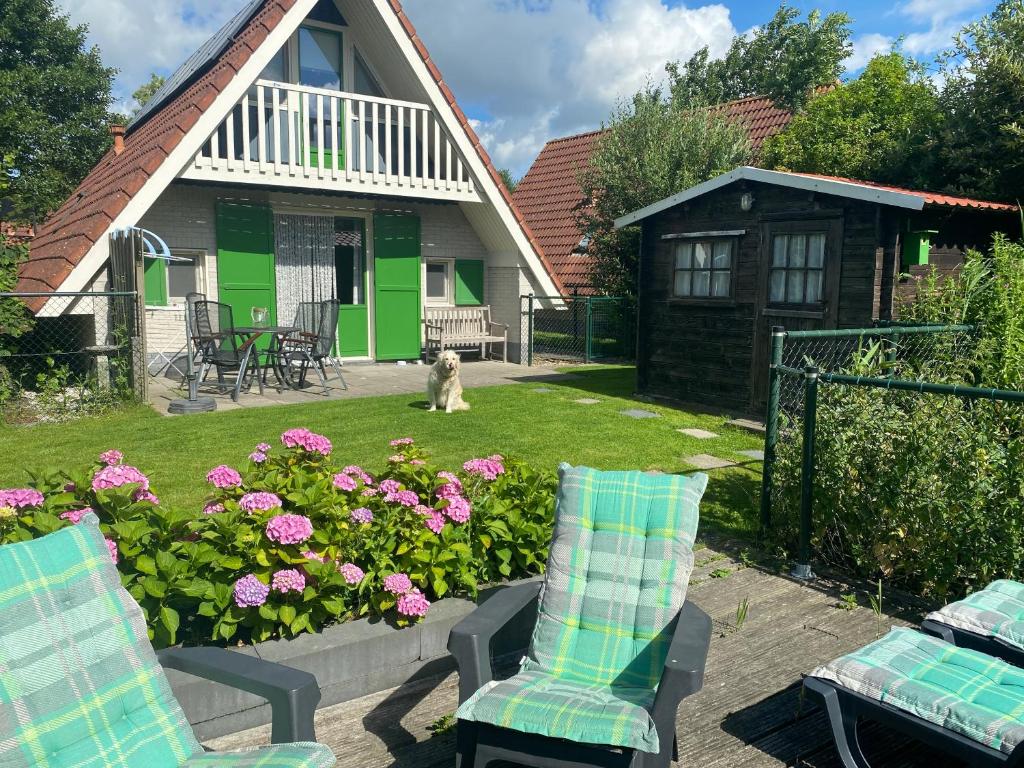 een huis met twee stoelen en een hond in de tuin bij Vakantiehuis Sofie Lauwersmeer met sauna in Anjum