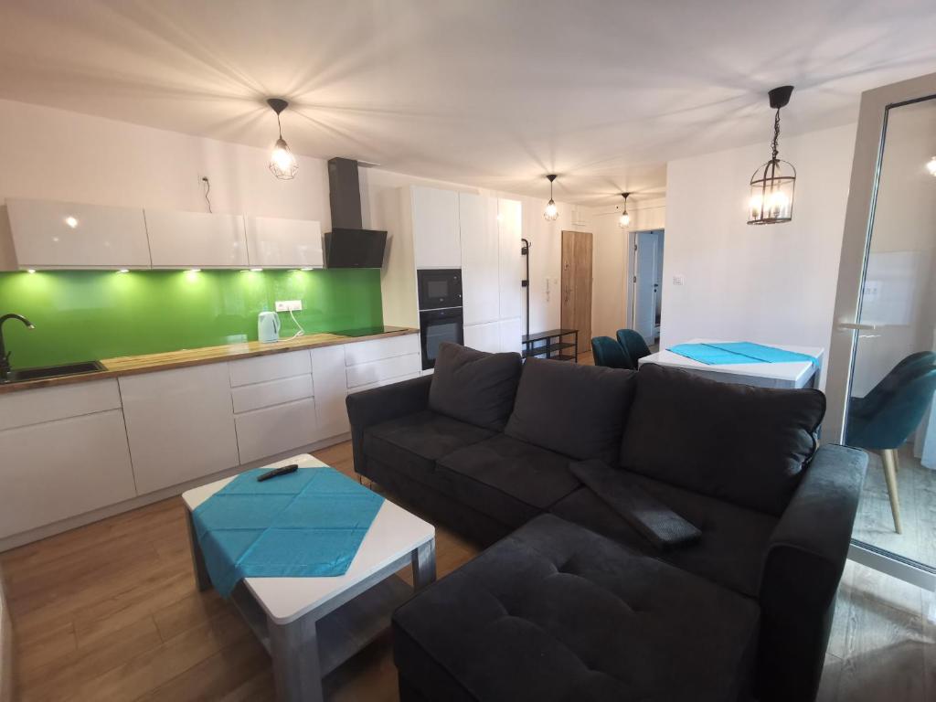 Kuchyňa alebo kuchynka v ubytovaní Apartament Zielona Trawka