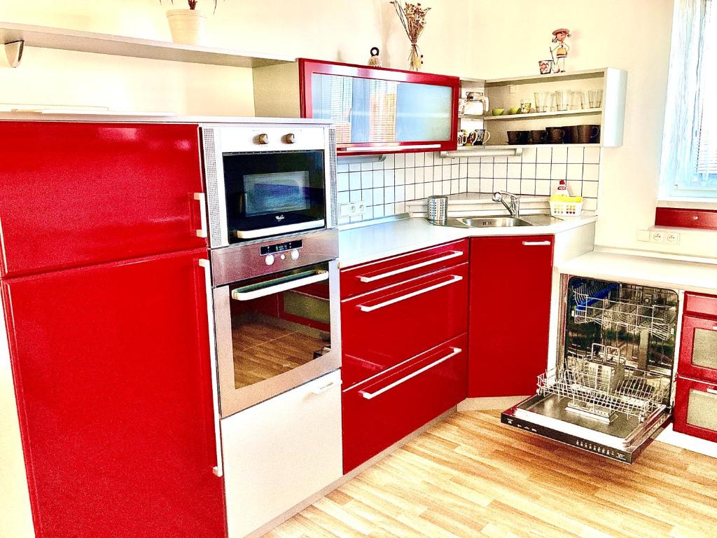 Kuchyň nebo kuchyňský kout v ubytování Apartmány Vojta