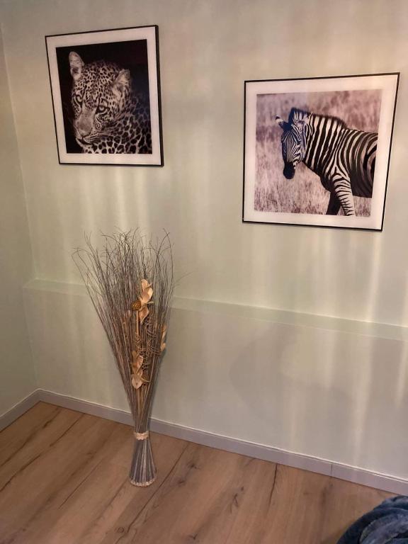 Fotografie z fotogalerie ubytování LE COTTAGE v destinaci Quiévrain