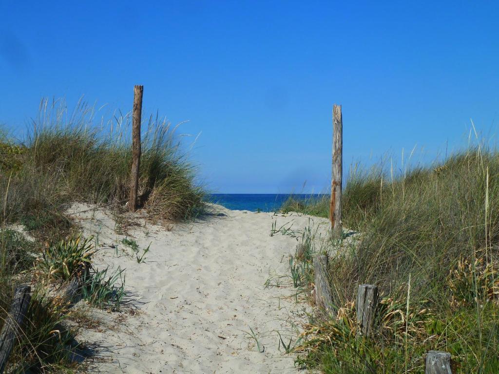 a sandy path leading to the ocean on a beach at Cottage LeDune profumi mediterranei vicino al mare in Torre Rinalda