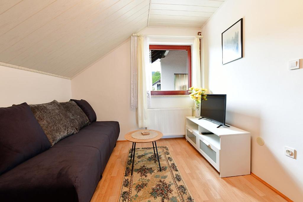 Televízia a/alebo spoločenská miestnosť v ubytovaní Guesthouse Ante Hodak