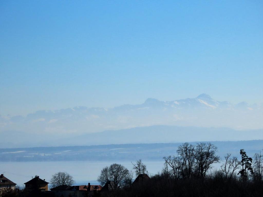 a view of a snow covered mountain in the distance at Ferienwohnung Bodenseeblick in Meersburg