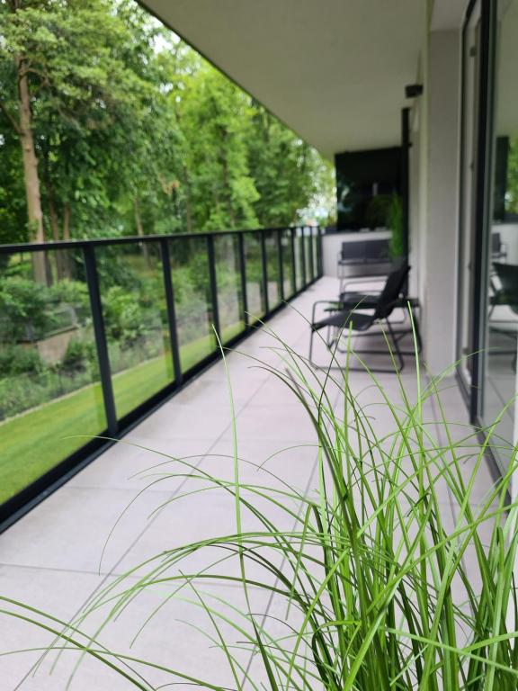 Vonkajšia záhrada v ubytovaní Nice River - MAZURIA APARTAMENTY