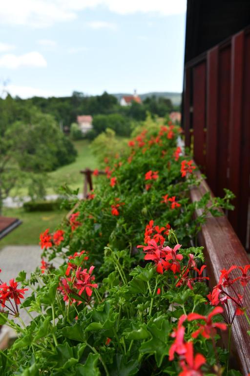 Vonkajšia záhrada v ubytovaní Guesthouse Ante Hodak