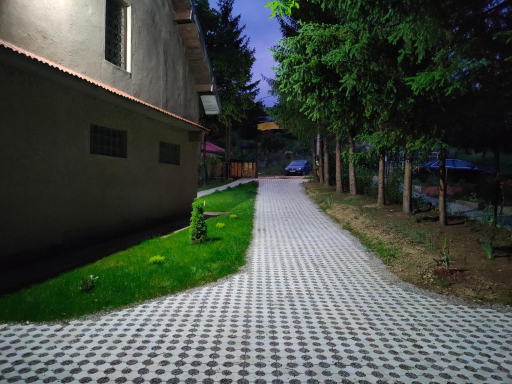 Zahrada ubytování Vila Jezerski raj Borsko jezero