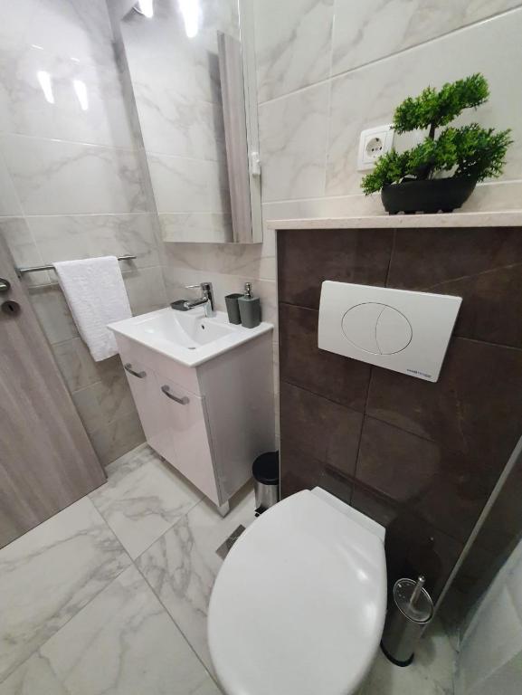 Kúpeľňa v ubytovaní Apartments MENA