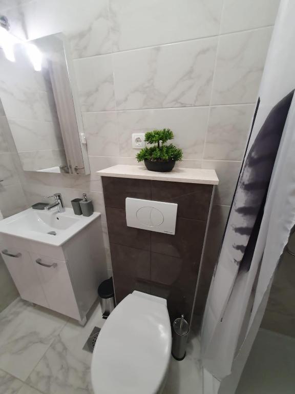 Kúpeľňa v ubytovaní Apartments MENA