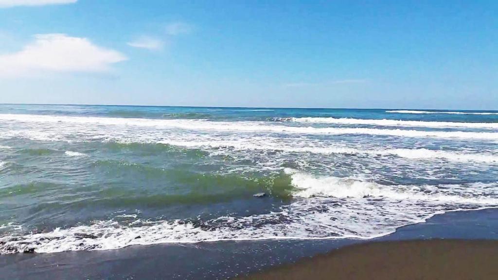 Fotografie z fotogalerie ubytování Sunny House Apartments Doni Štoj v destinaci Bregvija