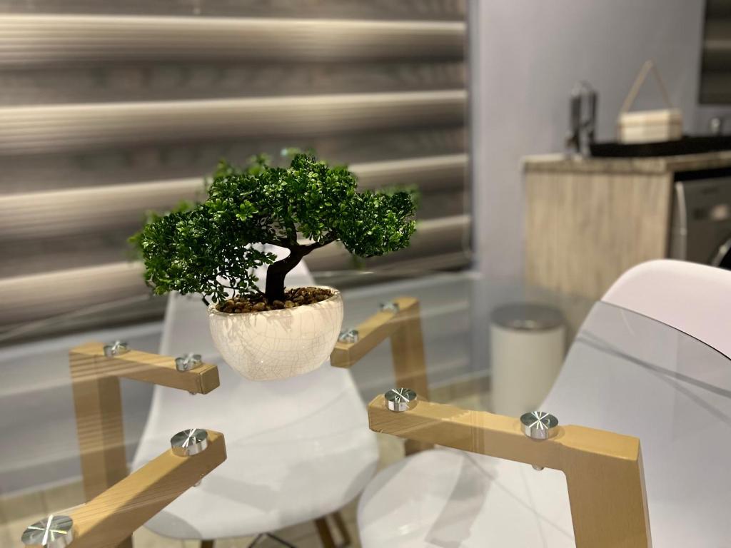 ein Bonsai-Baum auf einem Tisch in der Unterkunft Relaxing Getaway in Waterfall - close to Mall of Africa in Midrand