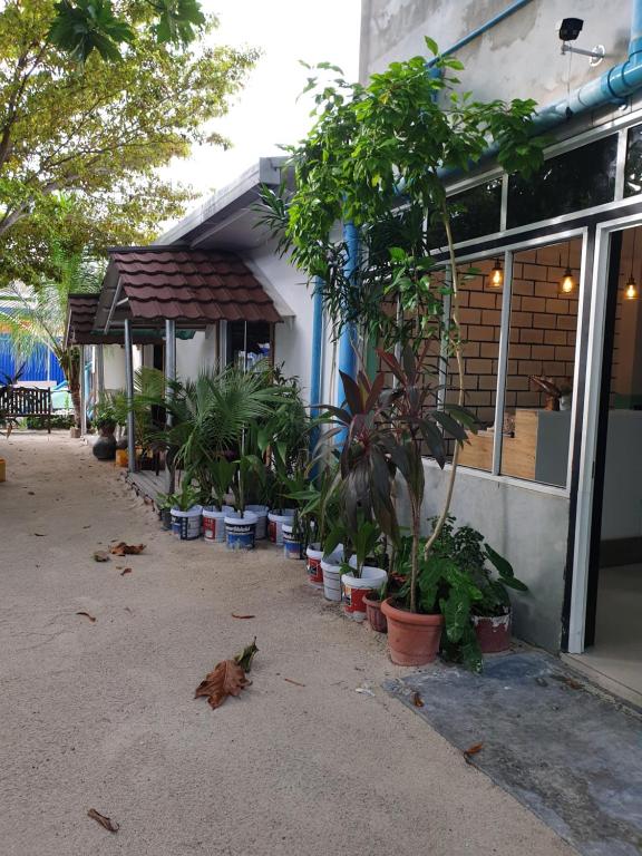 Zahrada ubytování Maafushi View