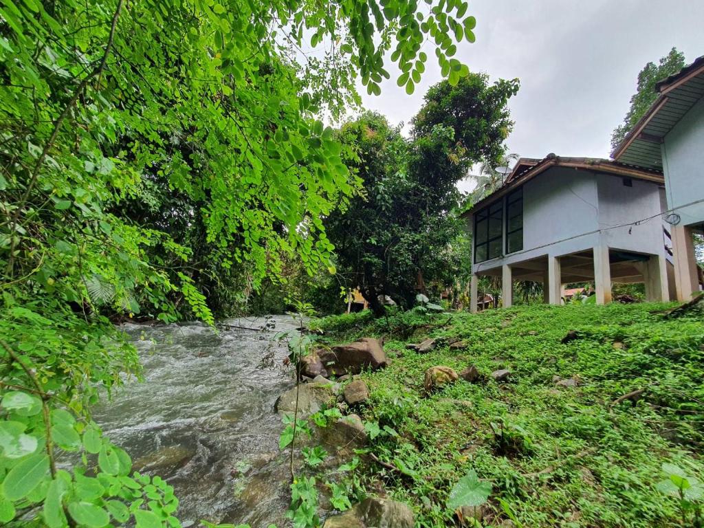 a river next to a house next to a house at Malulee KhaoSok Resort in Khao Sok National Park