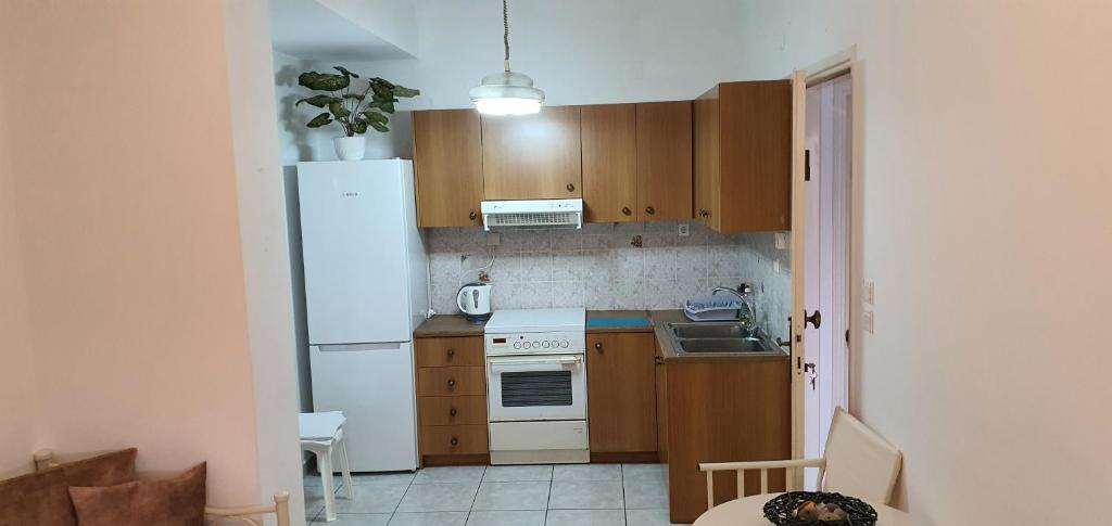 Kuchyňa alebo kuchynka v ubytovaní Villa CHRISTINA