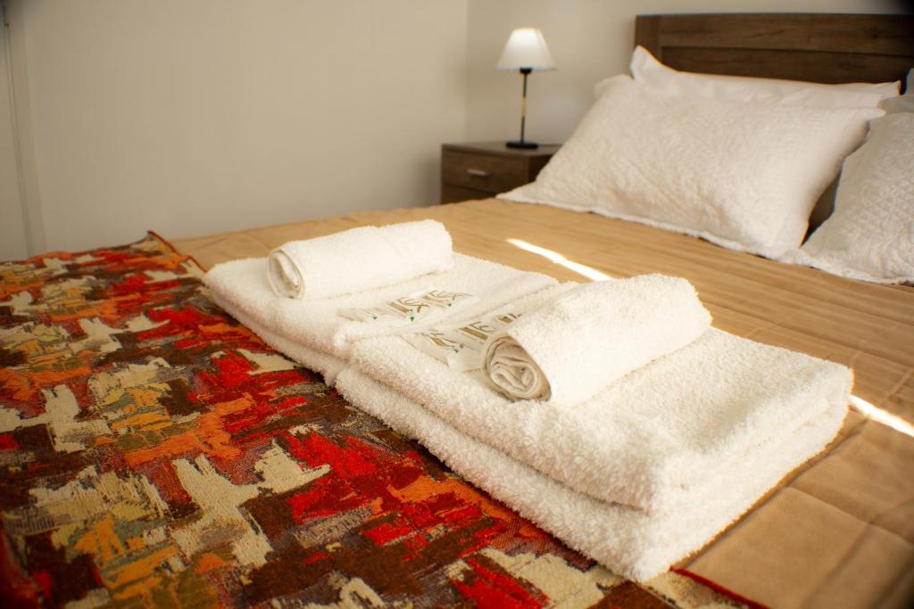 Una cama con dos toallas y una alfombra. en Piazza Mendoza en Mendoza