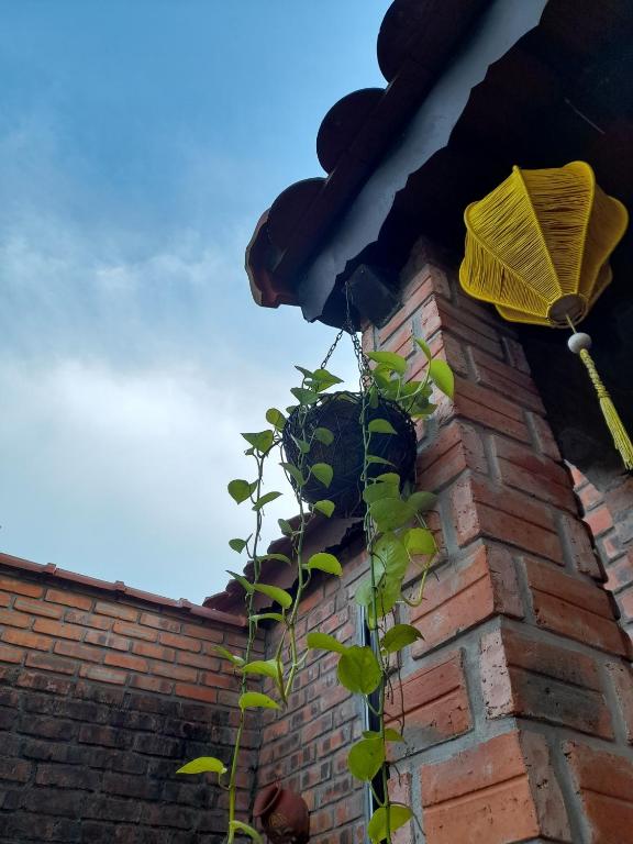 Tam Tinh Vien Homestay - 19