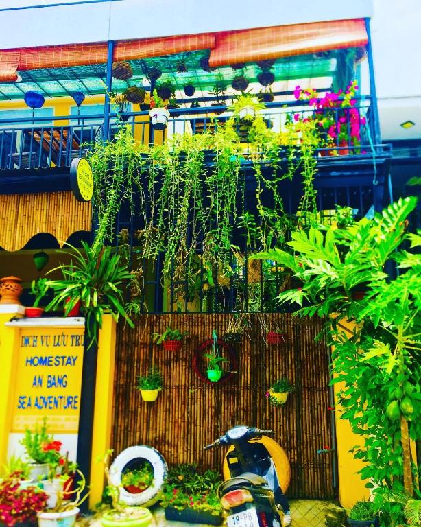 Zahrada ubytování An Bang Sea Adventure Homestay Hoi An