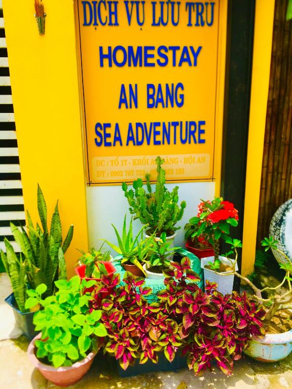 Fotografie z fotogalerie ubytování An Bang Sea Adventure Homestay Hoi An v destinaci Hoi An
