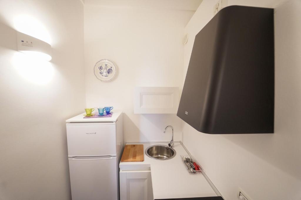 Kuchyň nebo kuchyňský kout v ubytování Ailanthus Holiday Suites