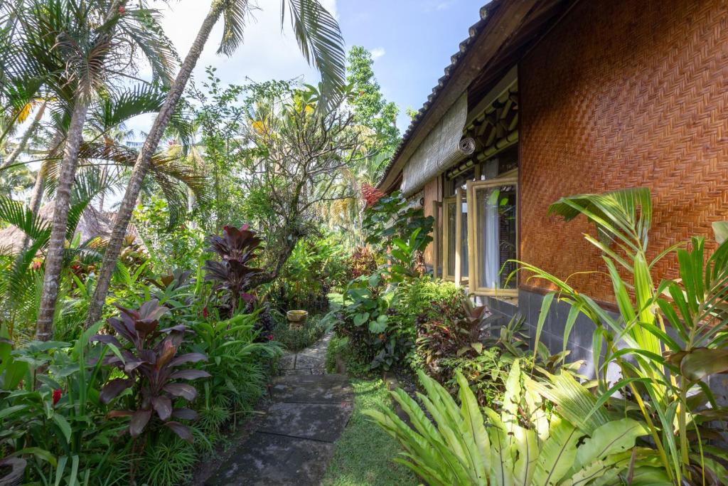 Zahrada ubytování Bali Firefly BnB