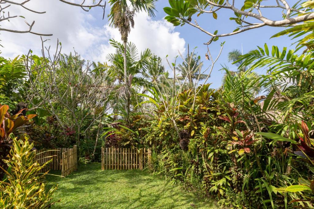 Zahrada ubytování Bali Firefly BnB