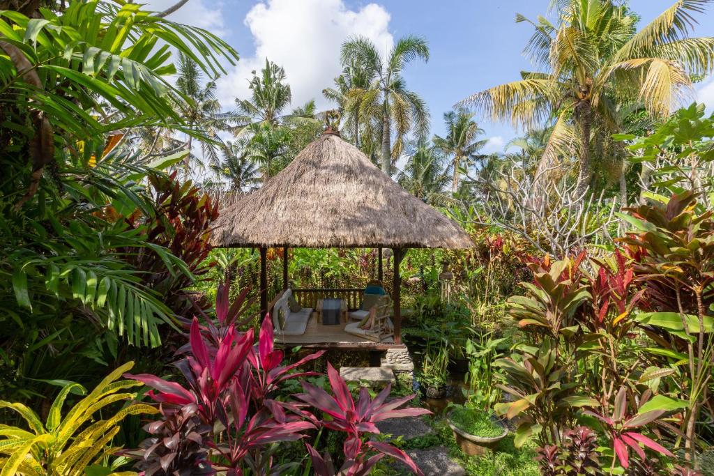 Zahrada ubytování Bali Firefly BnB