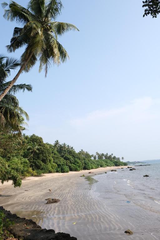 Bambolim Beach: Uncover Goa's Hidden Gem for Serene Getaways Bambolim Beach: Uncover Goa's Hidden Gem for Serene Getaways