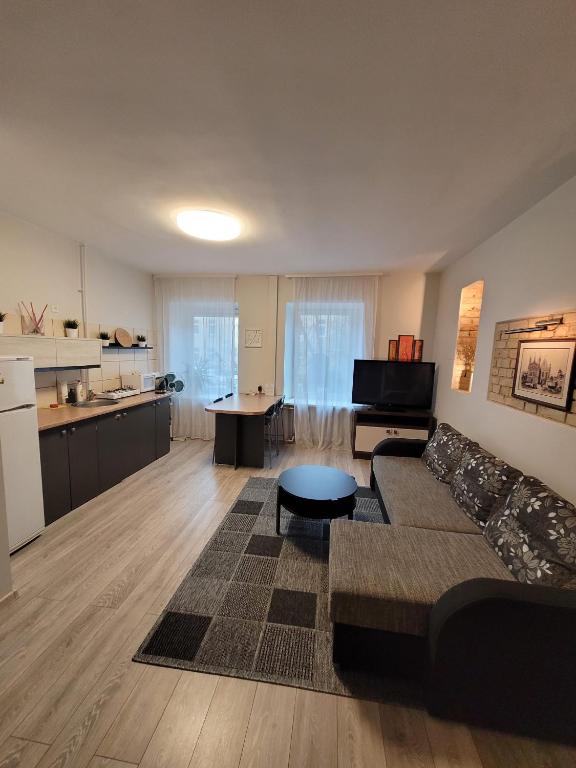 Apartment on Kudirkos 20 - Appartement