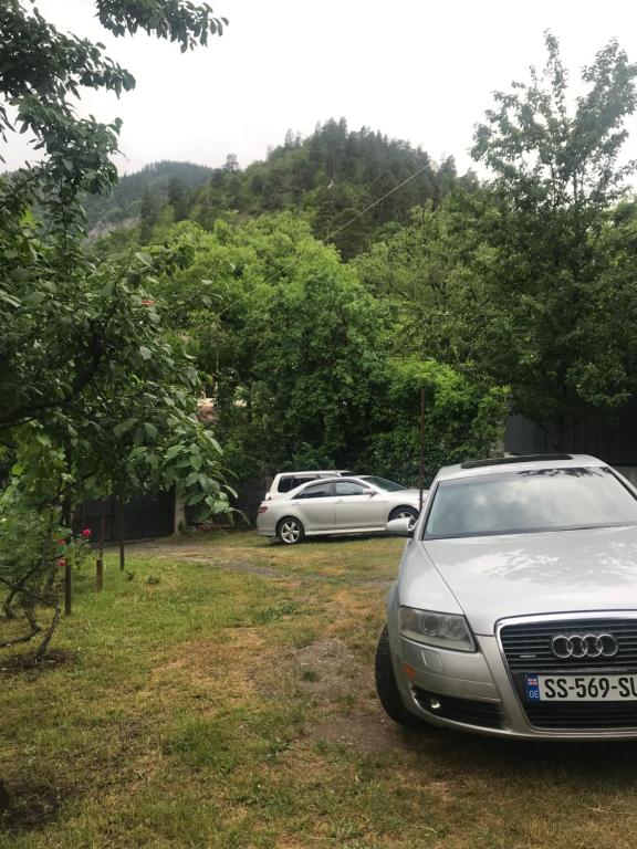 Fotografie z fotogalerie ubytování Zviad Guest House v destinaci Bordžomi